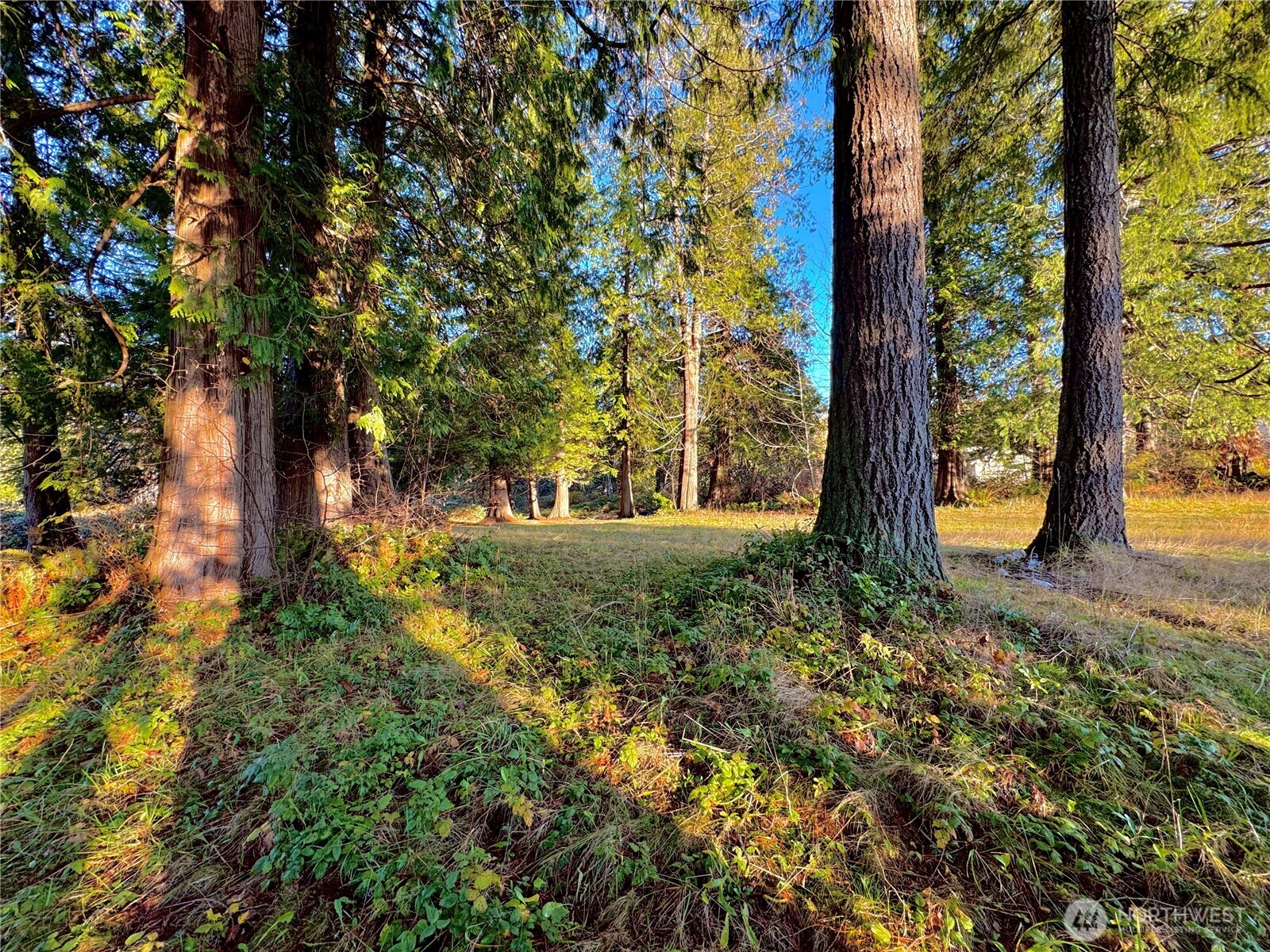 25 NE Roy Boad Road Belfair WA 98528