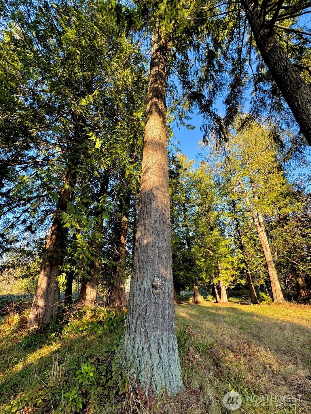 25 NE Roy Boad Road Belfair WA 98528