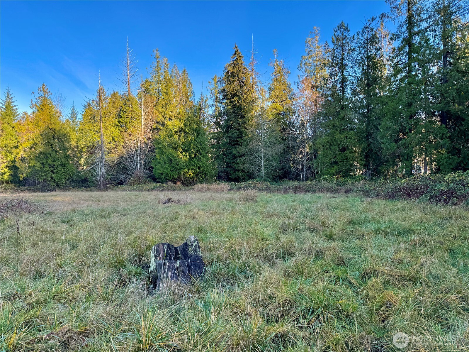 25 NE Roy Boad Road Belfair WA 98528