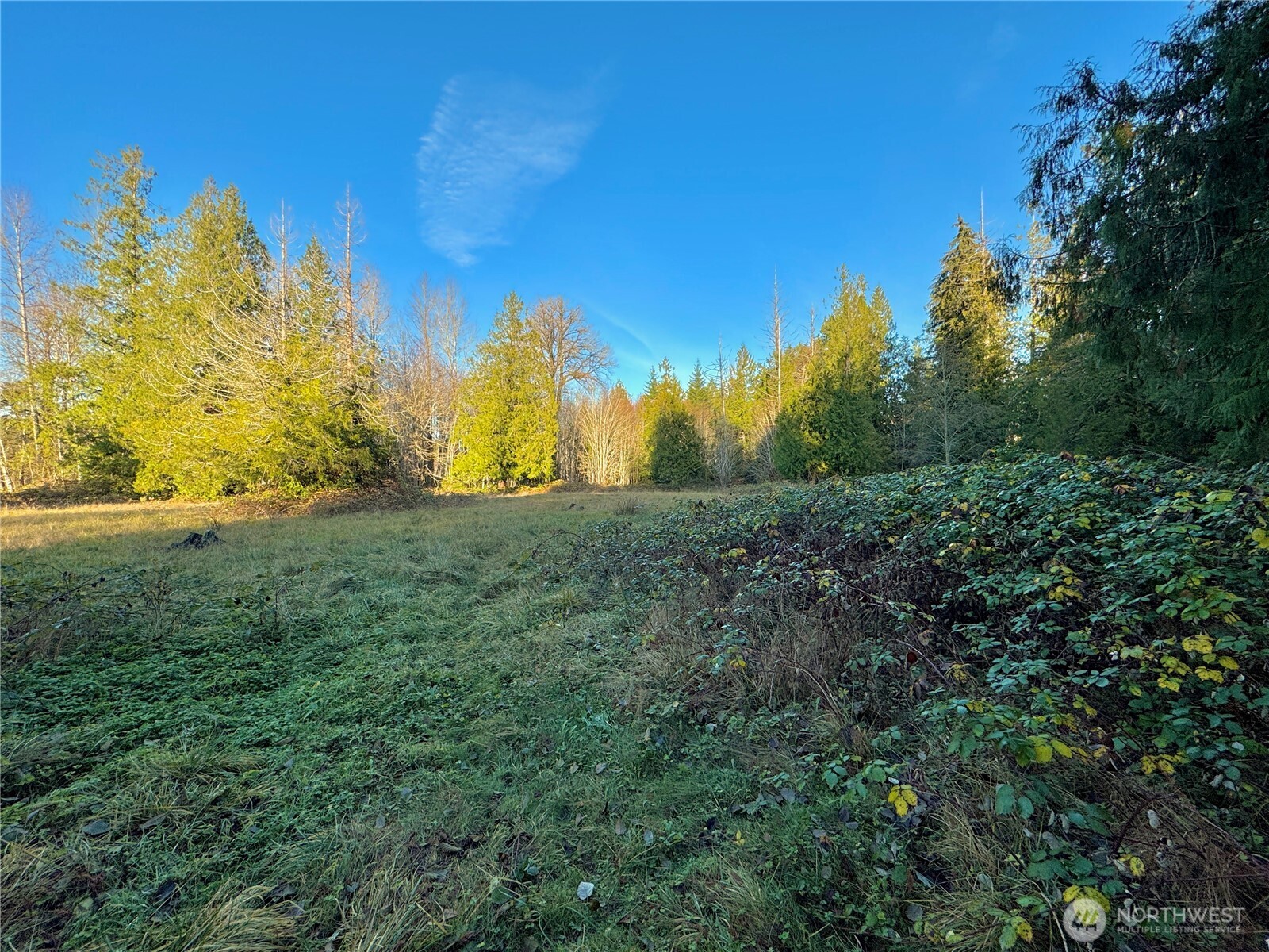 25 NE Roy Boad Road Belfair WA 98528