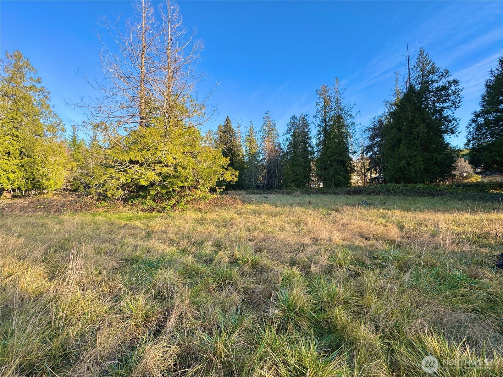 25 NE Roy Boad Road Belfair WA 98528