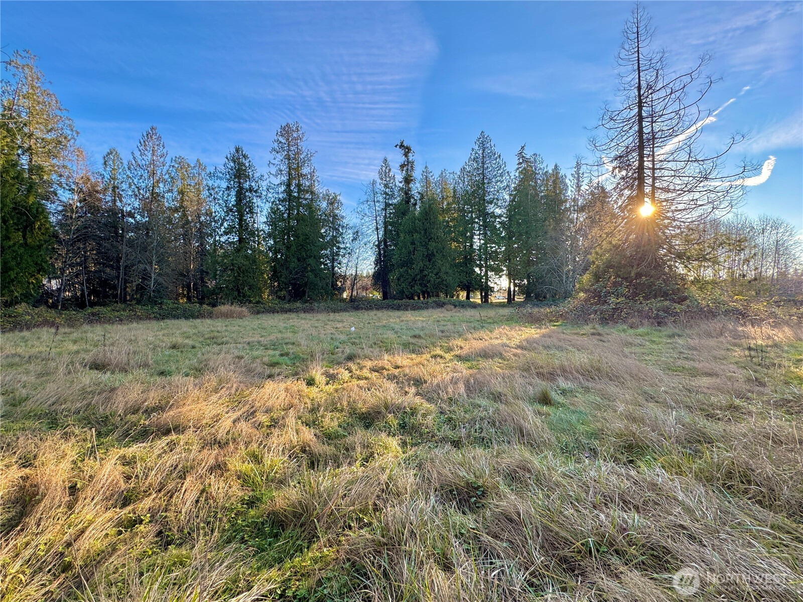 25 NE Roy Boad Road Belfair WA 98528