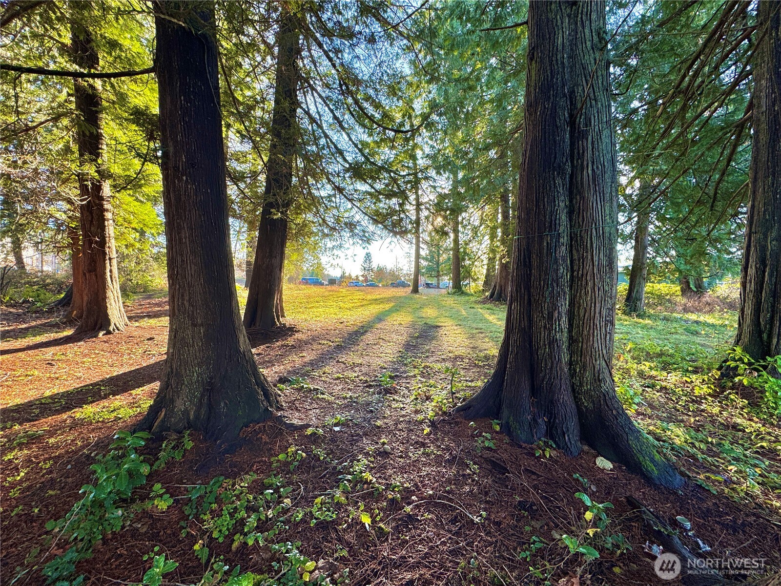 25 NE Roy Boad Road Belfair WA 98528