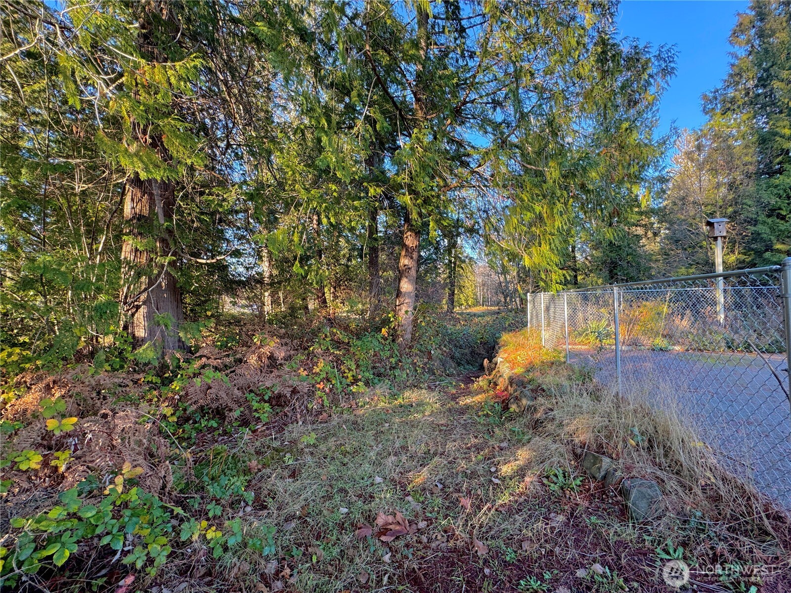 25 NE Roy Boad Road Belfair WA 98528