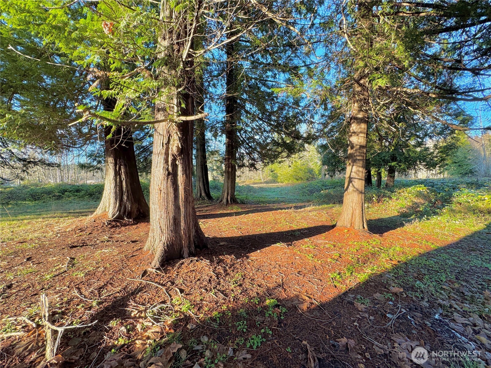 25 NE Roy Boad Road Belfair WA 98528