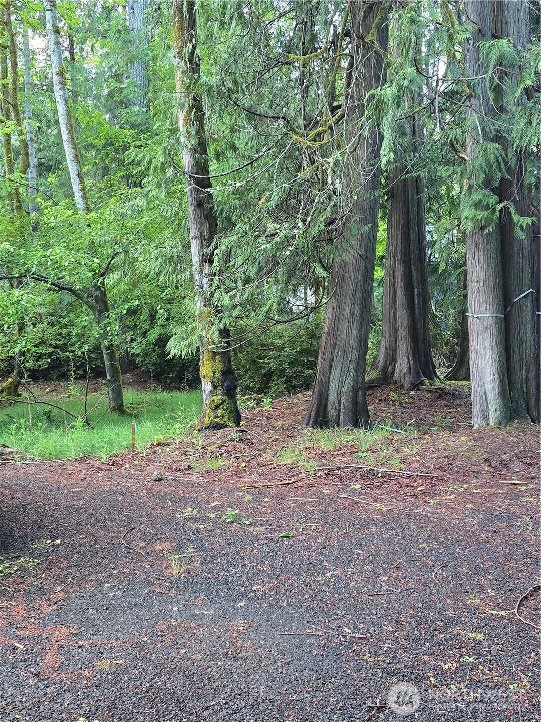 441 E Pointes Drive E Shelton WA 98584