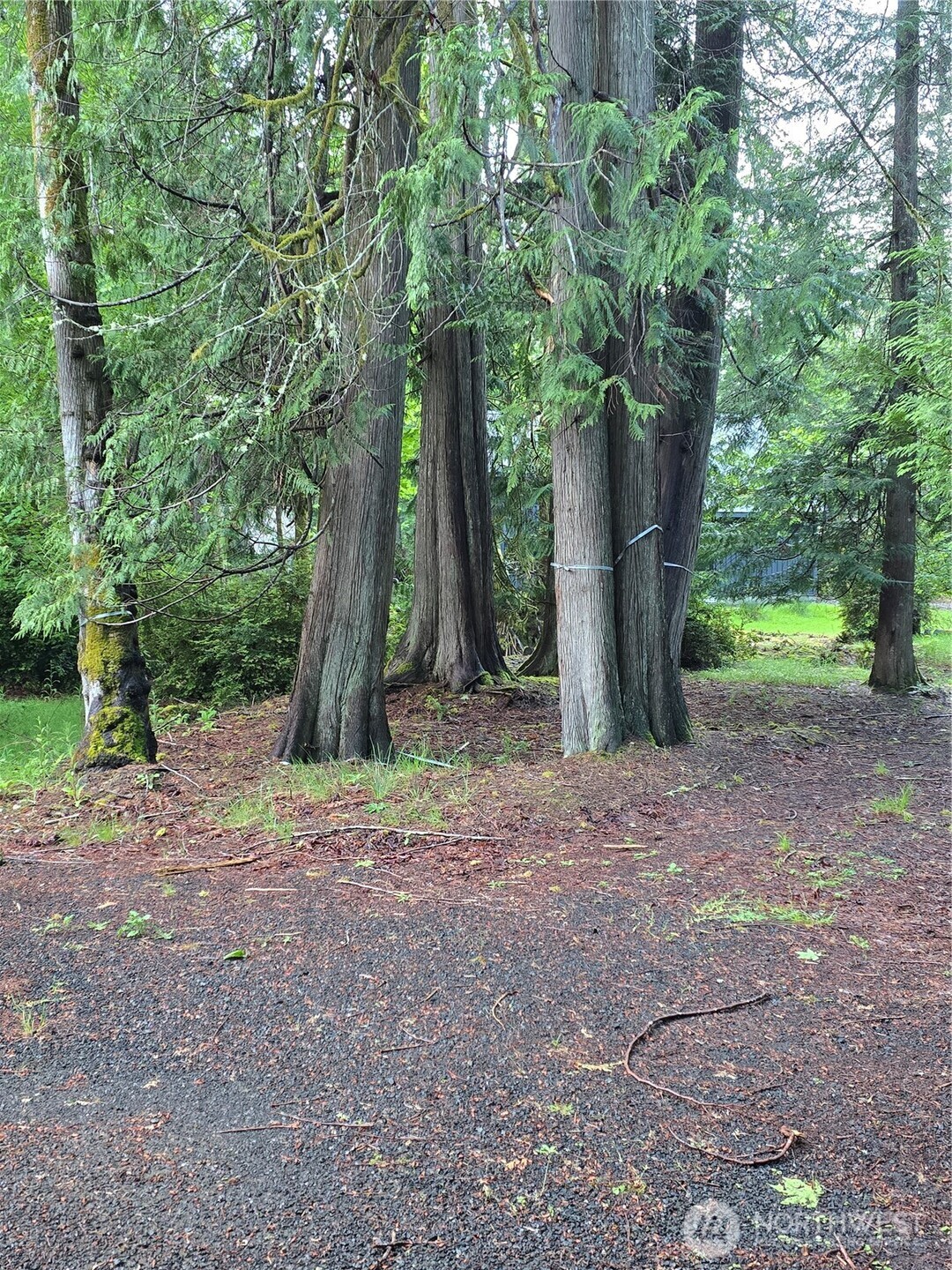 441 E Pointes Drive E Shelton WA 98584
