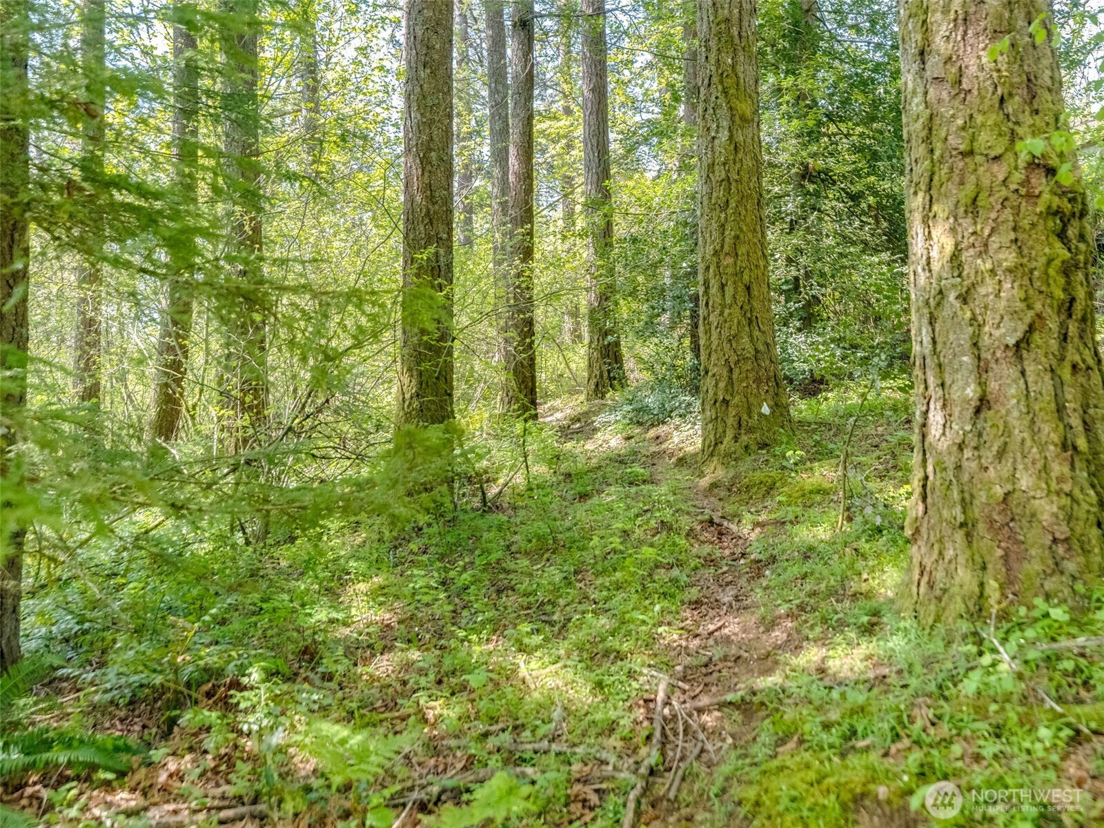0 SE 362nd Avenue Washougal WA 98671