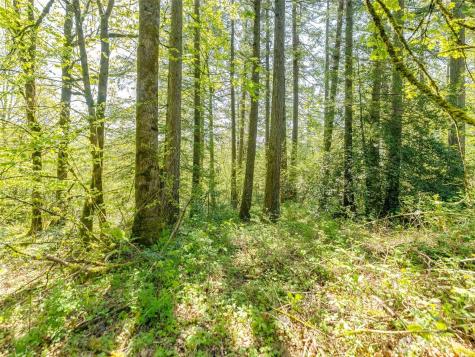0 SE 362nd Avenue Washougal WA 98671
