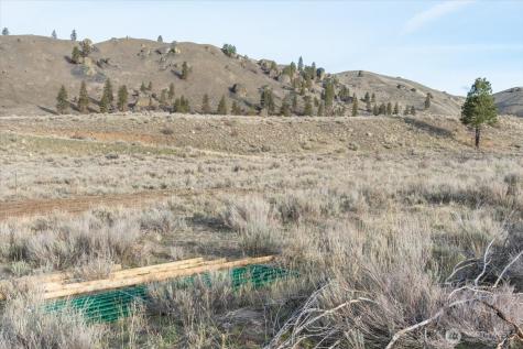 0 Parcel D - 13 Honeygold Drive Orondo WA 98843
