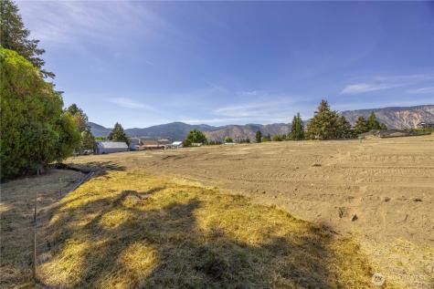 38 Indigo Lane Manson WA 98831