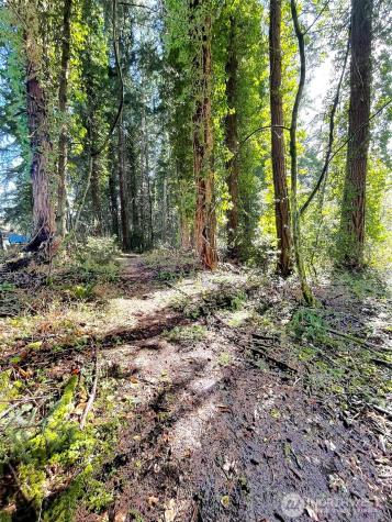 9221 SW Bank Road Vashon WA 98070