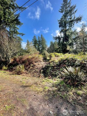 9221 SW Bank Road Vashon WA 98070