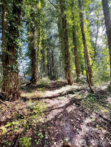 9221 SW Bank Road Vashon WA 98070