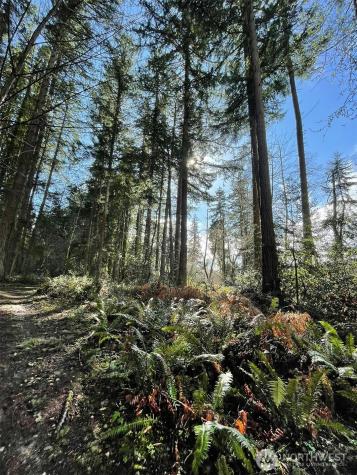 9221 SW Bank Road Vashon WA 98070