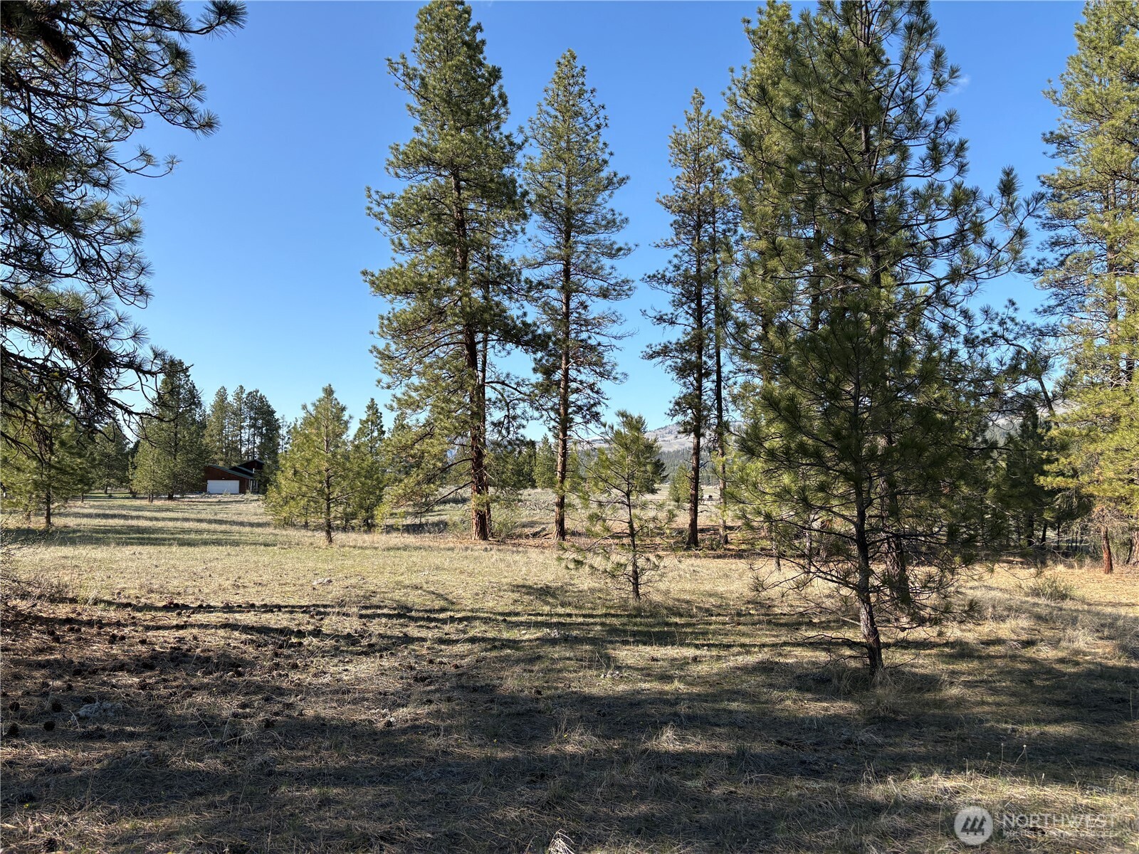 0 Tamarack Road Tonasket WA 98855