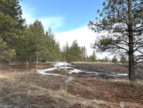 0 Tamarack Road Tonasket WA 98855