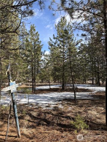 0 Tamarack Road Tonasket WA 98855