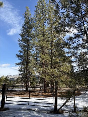 0 Tamarack Road Tonasket WA 98855