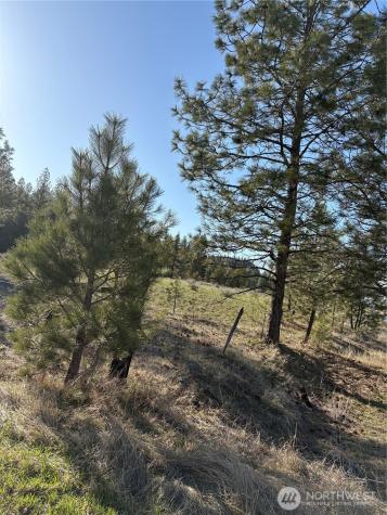 0 Tamarack Road Tonasket WA 98855