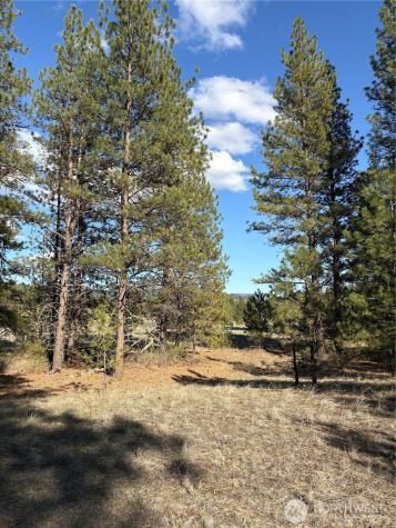 0 Tamarack Road Tonasket WA 98855