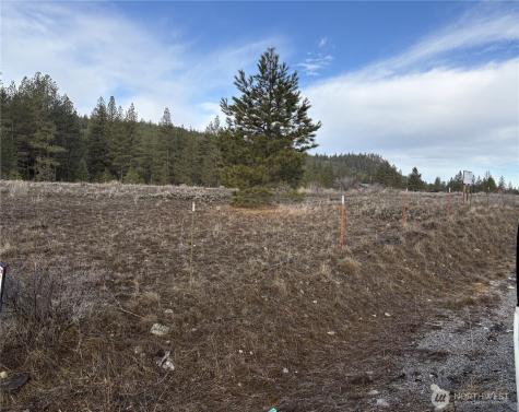 0 Tamarack Road Tonasket WA 98855