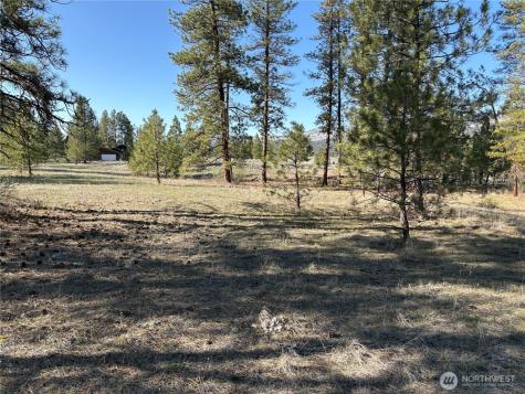 0 Tamarack Road Tonasket WA 98855