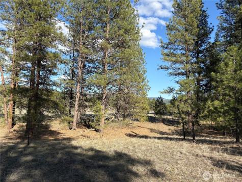 0 Tamarack Road Tonasket WA 98855