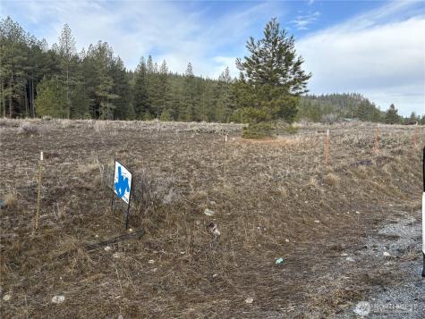 0 Tamarack Road Tonasket WA 98855