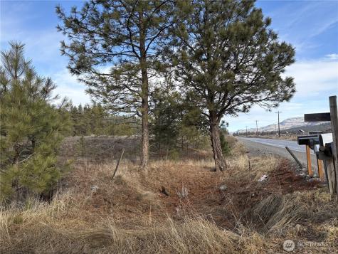 0 Tamarack Road Tonasket WA 98855