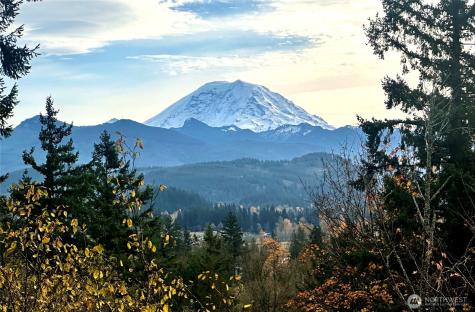 27339 SE 403rd Street Enumclaw WA 98022