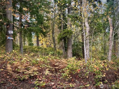 27339 SE 403rd Street Enumclaw WA 98022