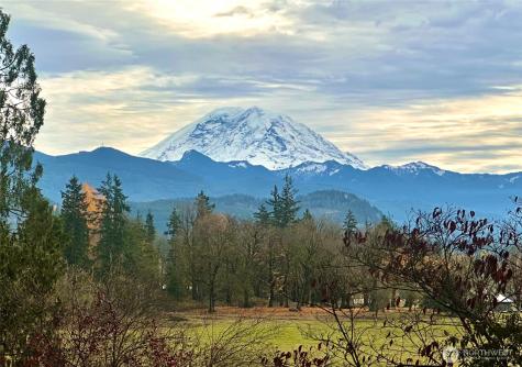 27339 SE 403rd Street Enumclaw WA 98022