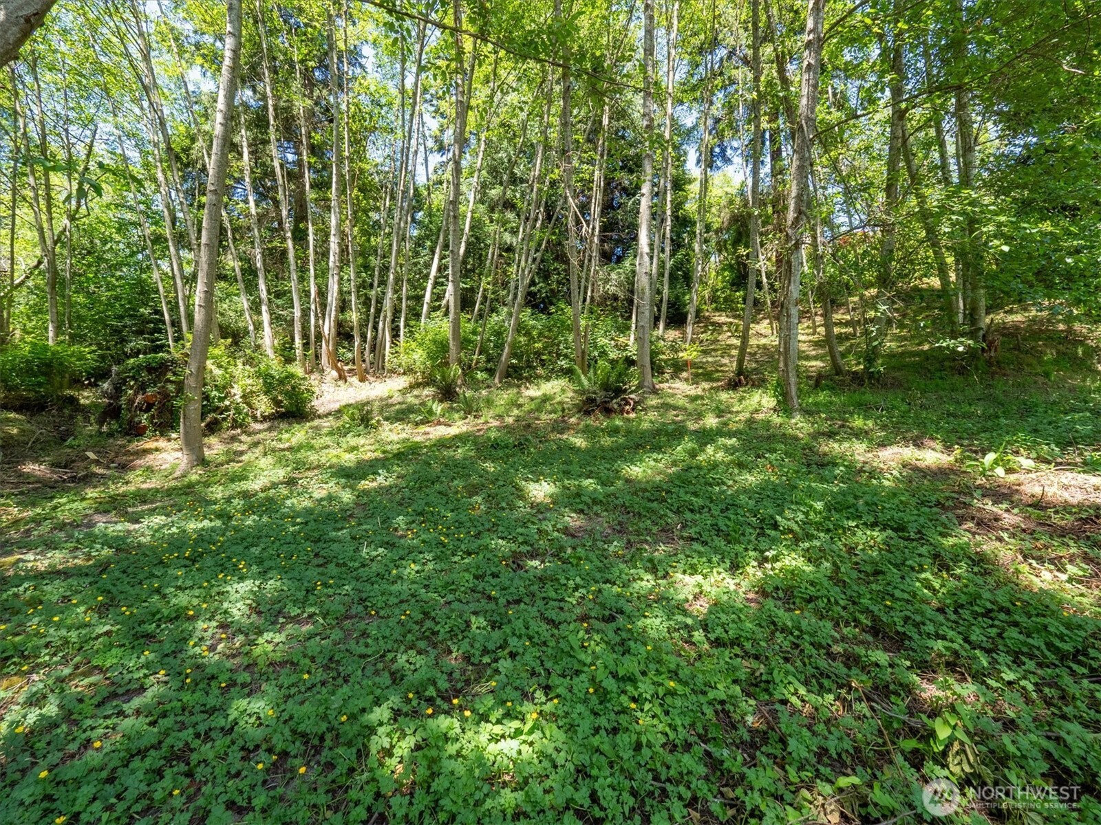 152 N 175th Street Shoreline WA 98133