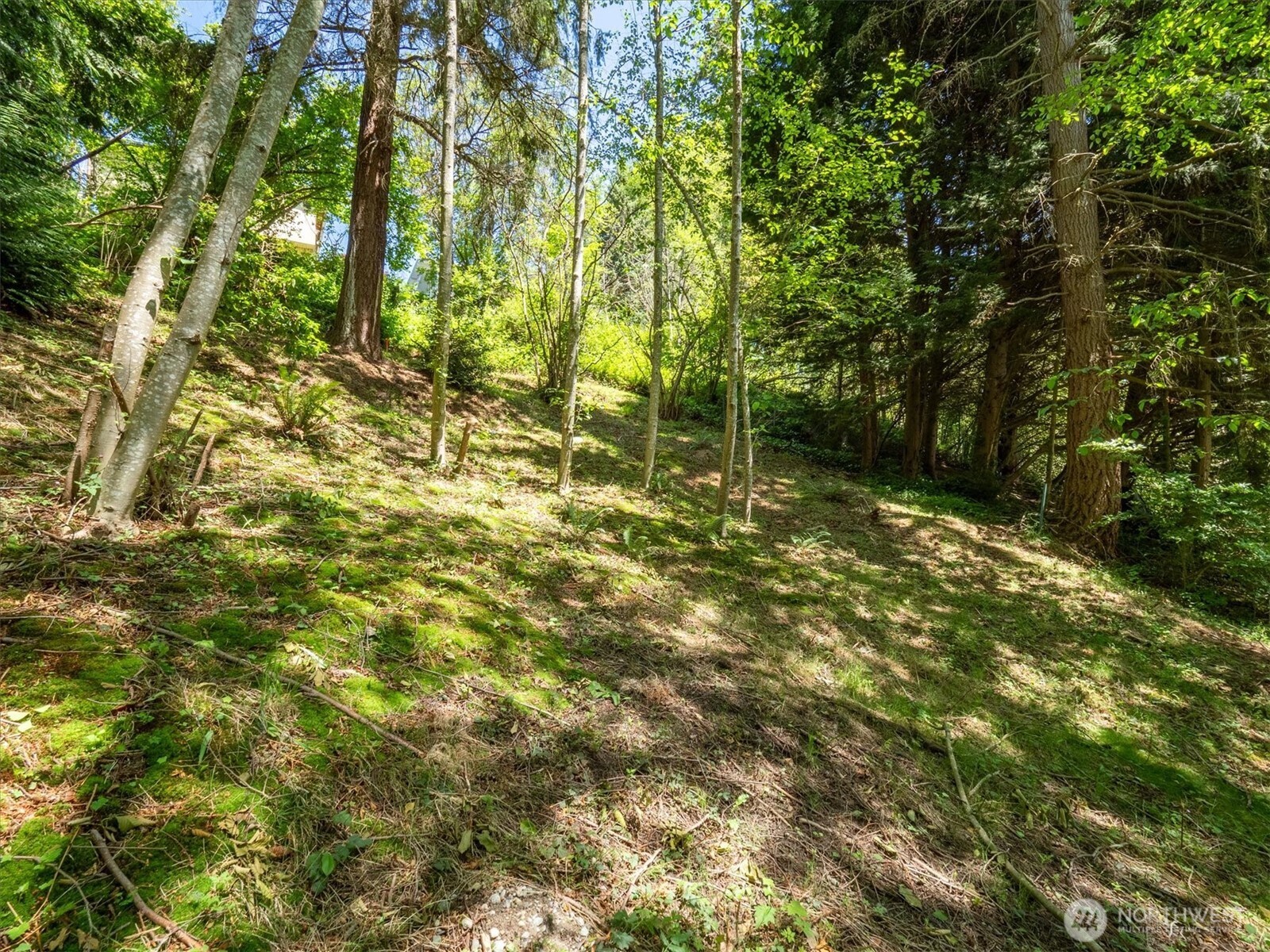 152 N 175th Street Shoreline WA 98133