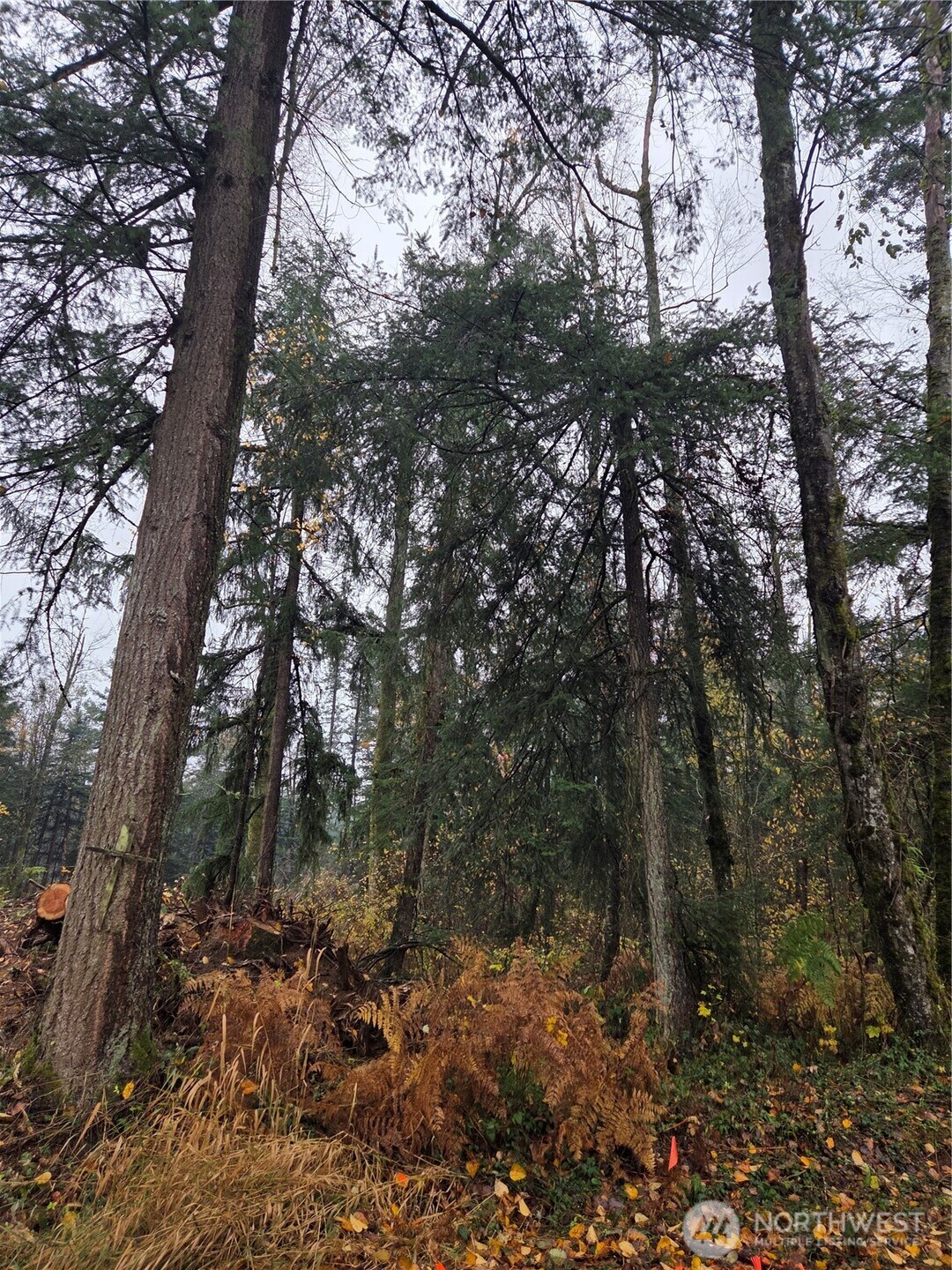 0 H Street Blaine WA 98230