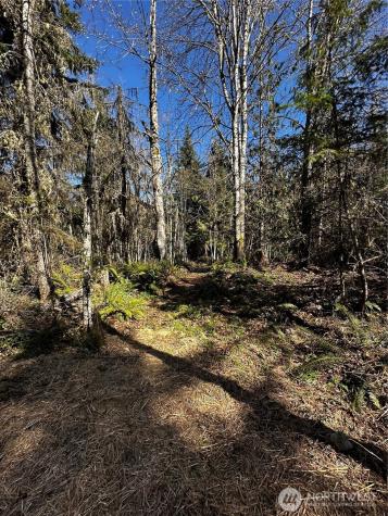 999 Robinson Road Port Angeles WA 98362