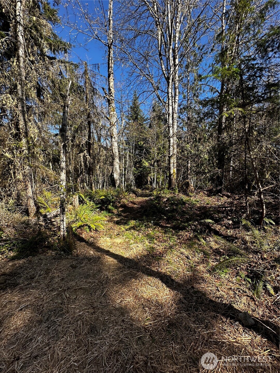 999 Robinson Road Port Angeles WA 98362