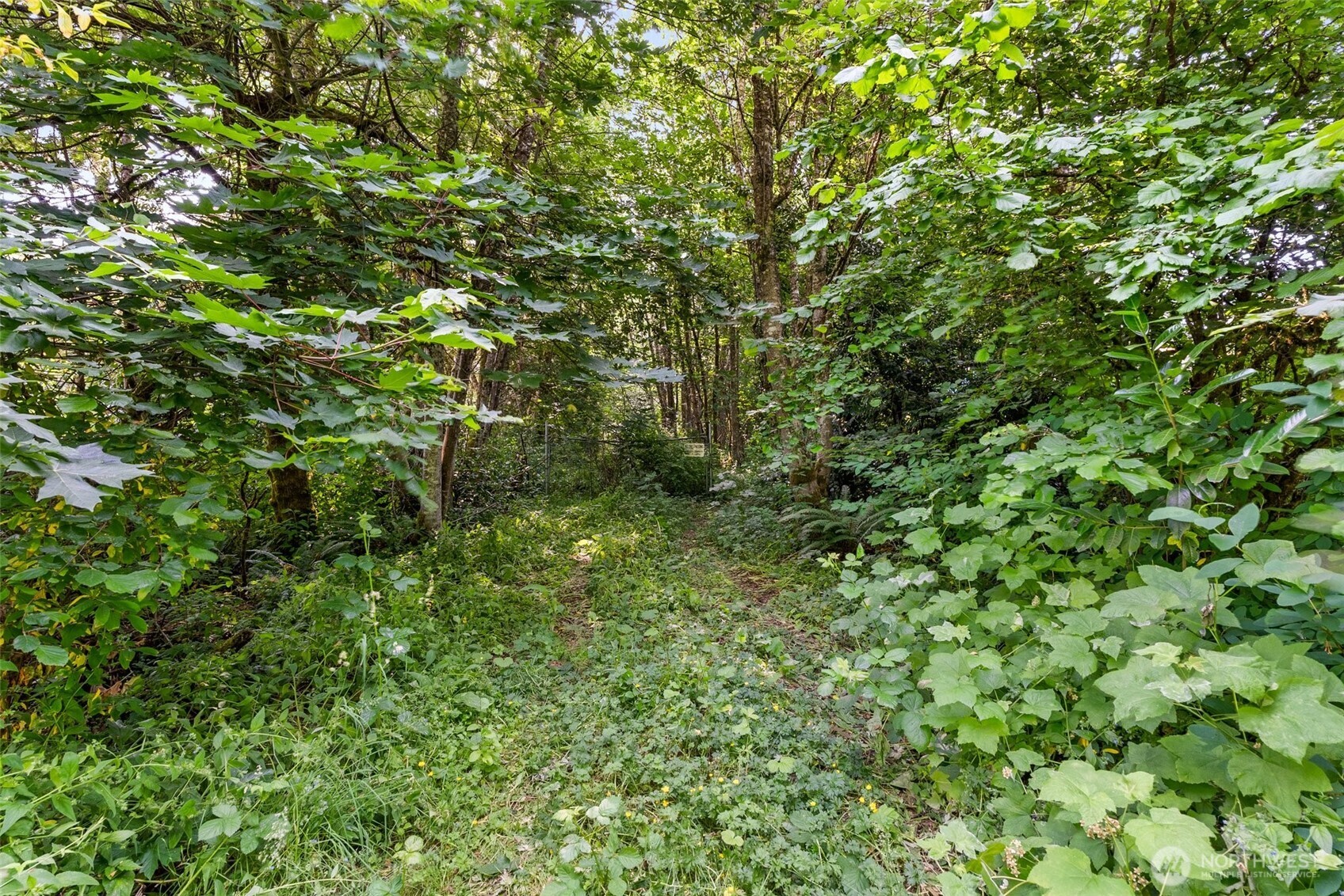 1680 Draham Road NE Lacey WA 98516