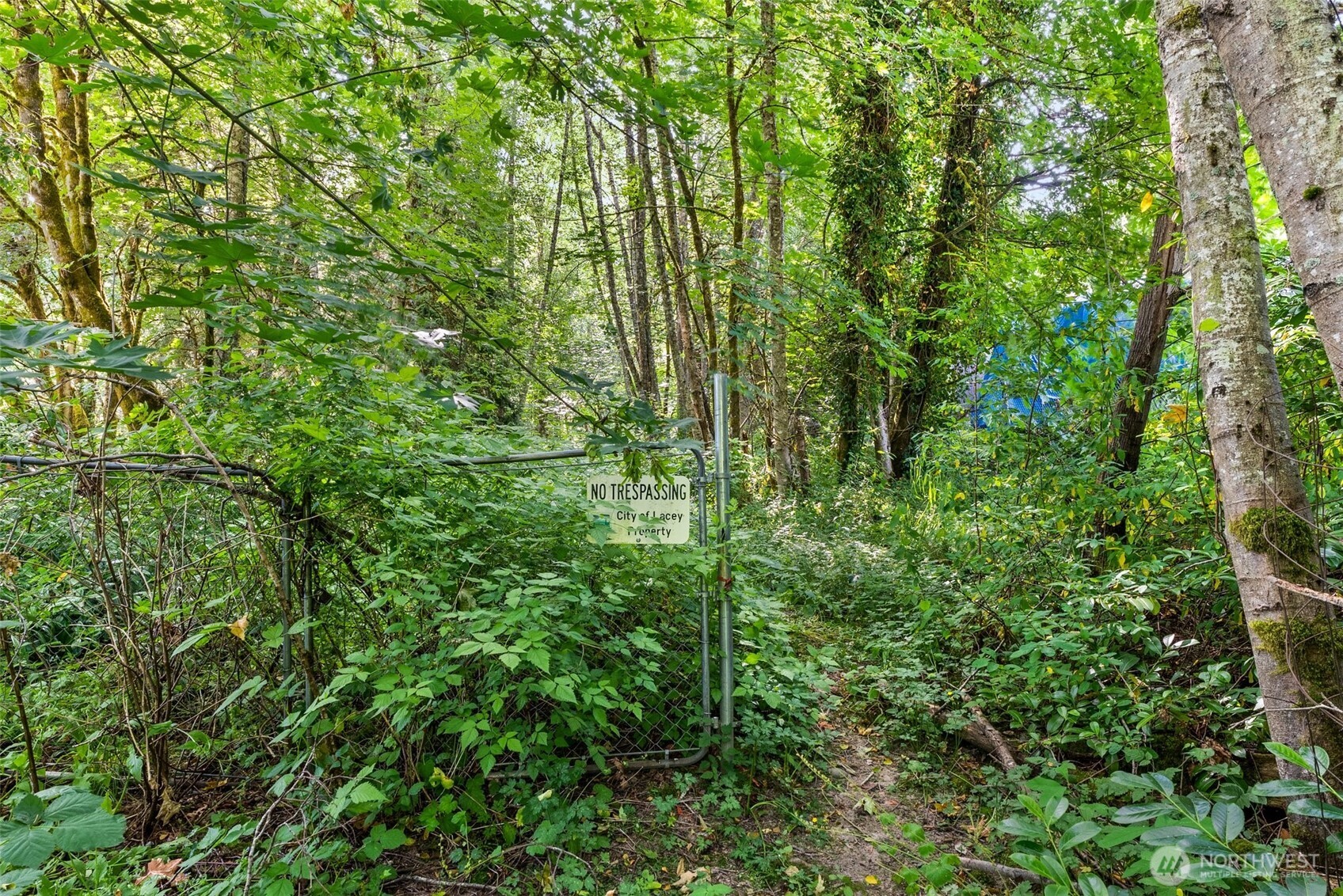 1680 Draham Road NE Lacey WA 98516