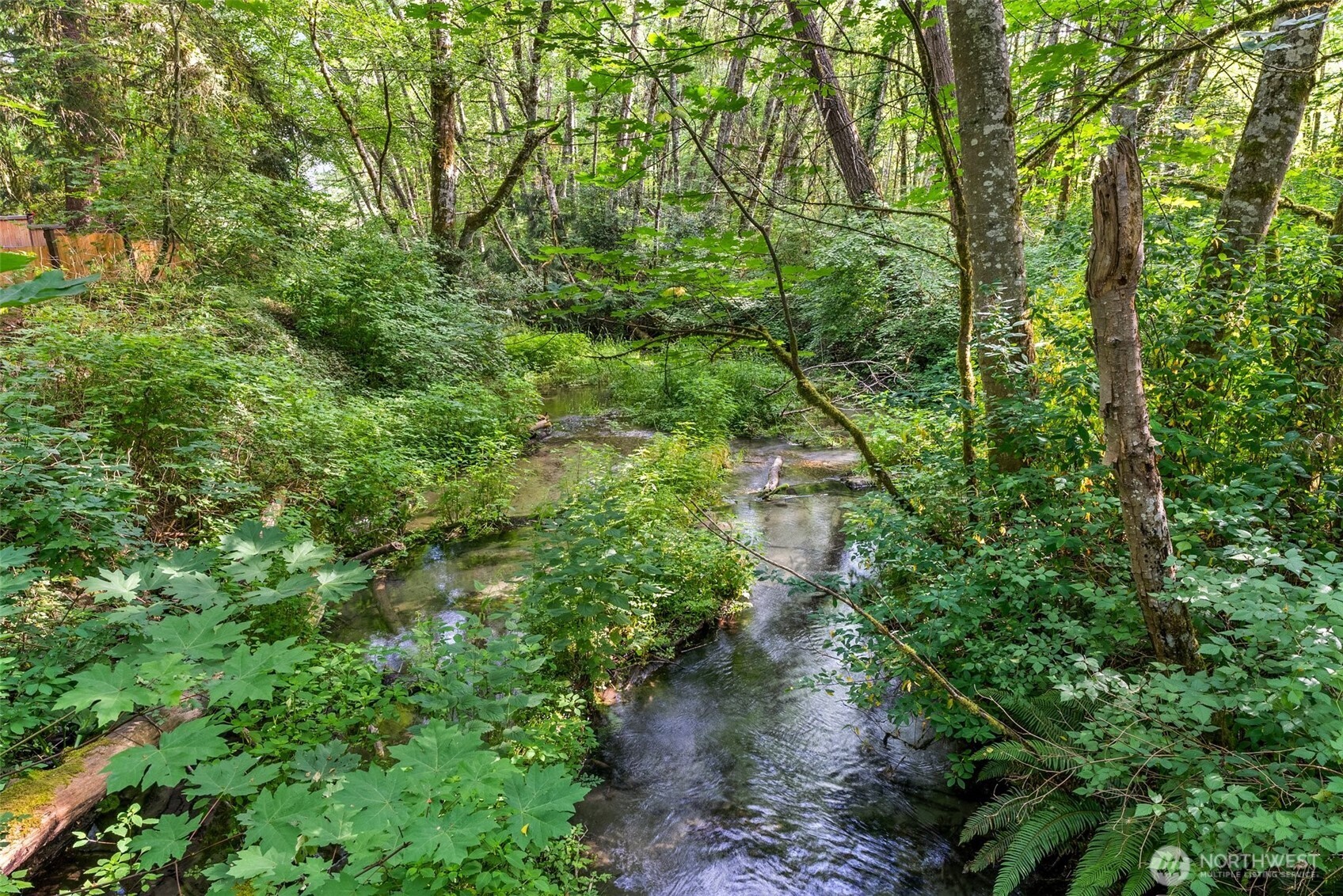 1680 Draham Road NE Lacey WA 98516