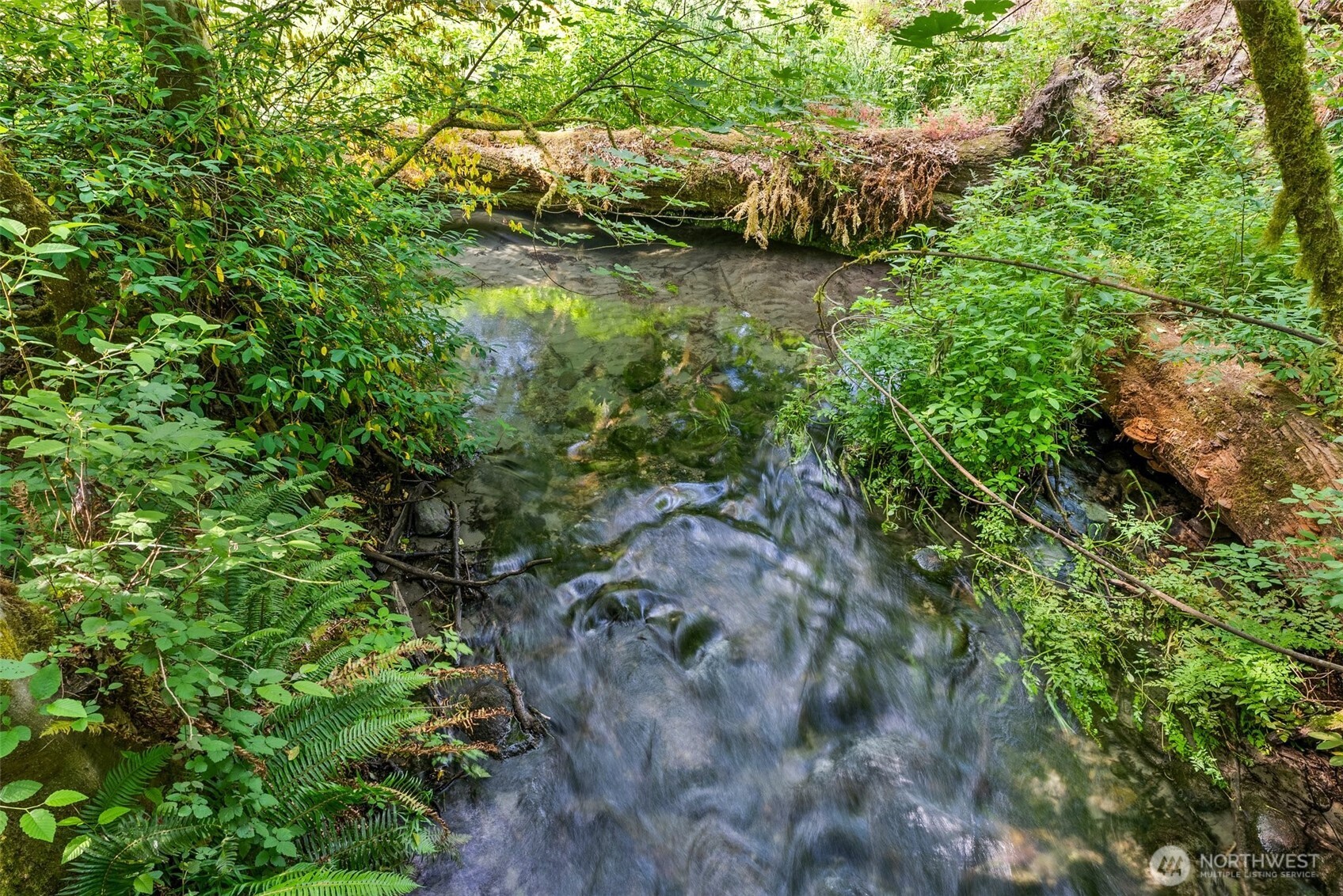 1680 Draham Road NE Lacey WA 98516