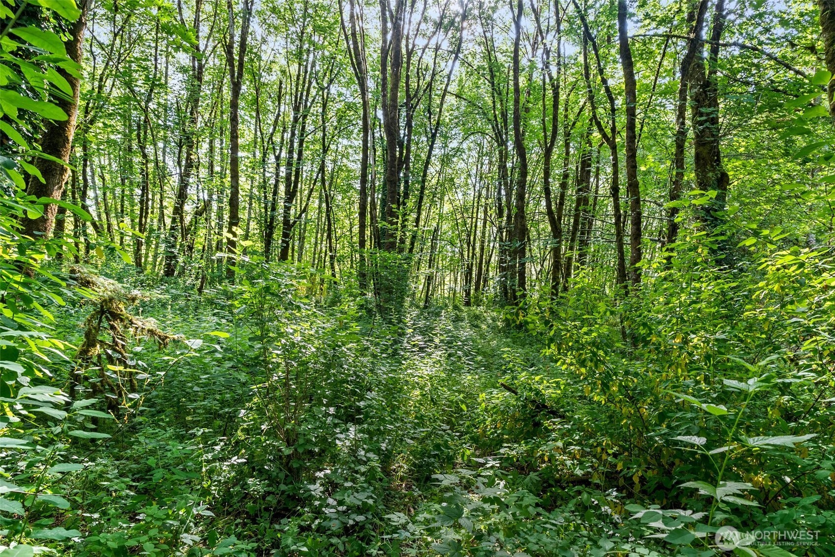 1680 Draham Road NE Lacey WA 98516