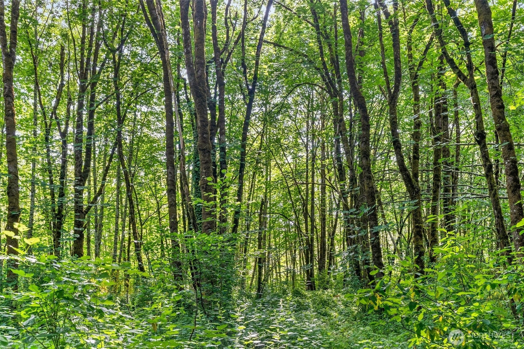 1680 Draham Road NE Lacey WA 98516