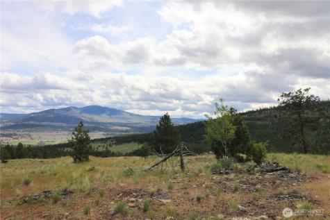 333 Patterson Creek Tonasket WA 98855