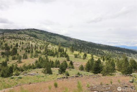 333 Patterson Creek Tonasket WA 98855