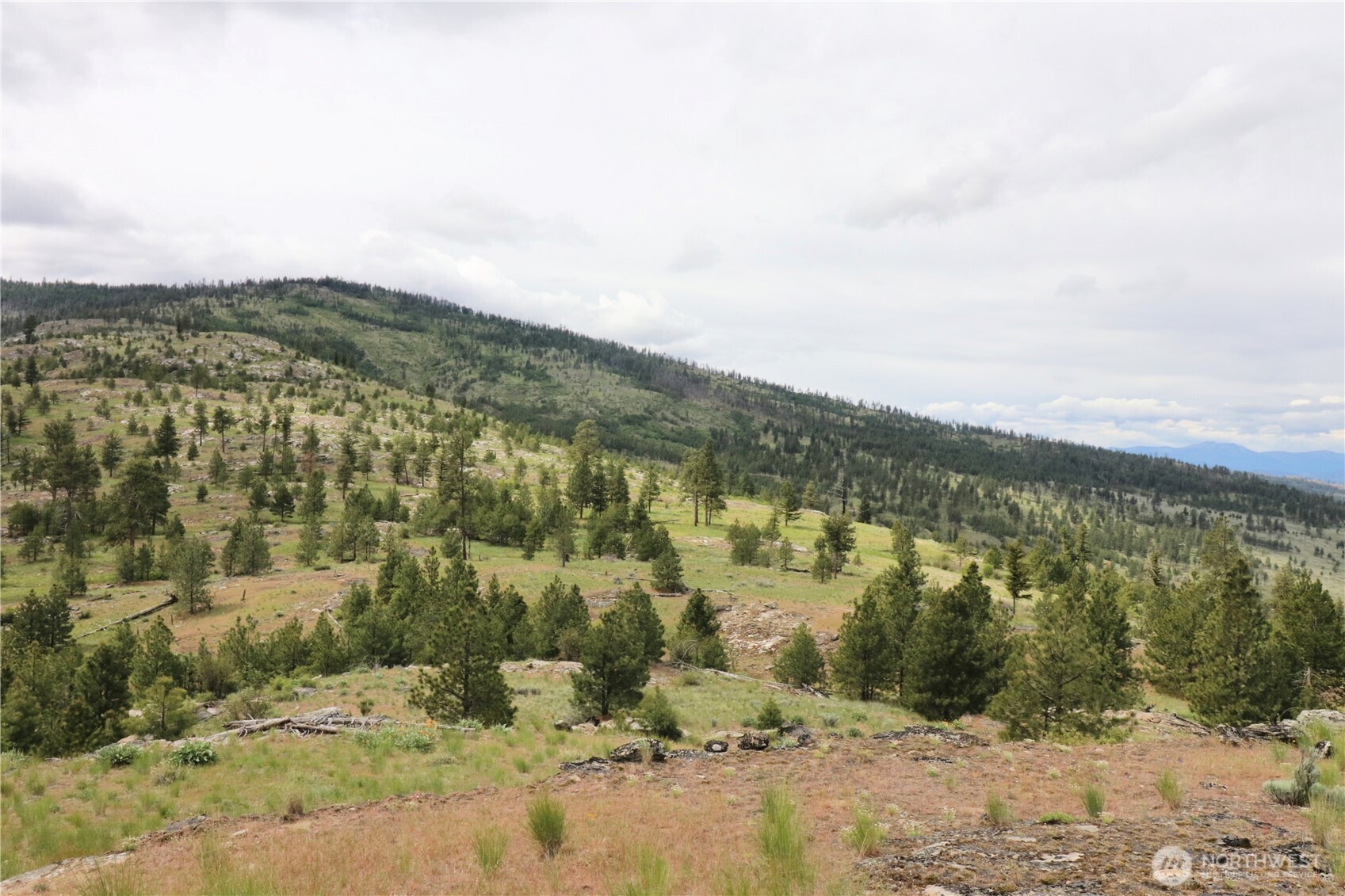 333 Patterson Creek Tonasket WA 98855