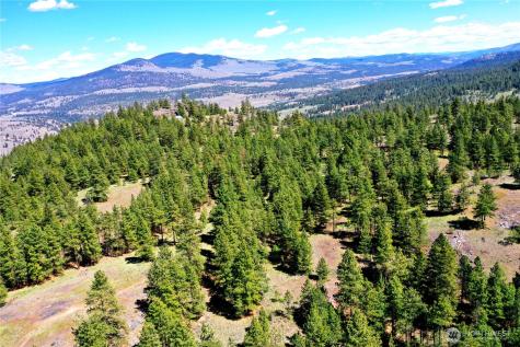 333 Patterson Creek Tonasket WA 98855