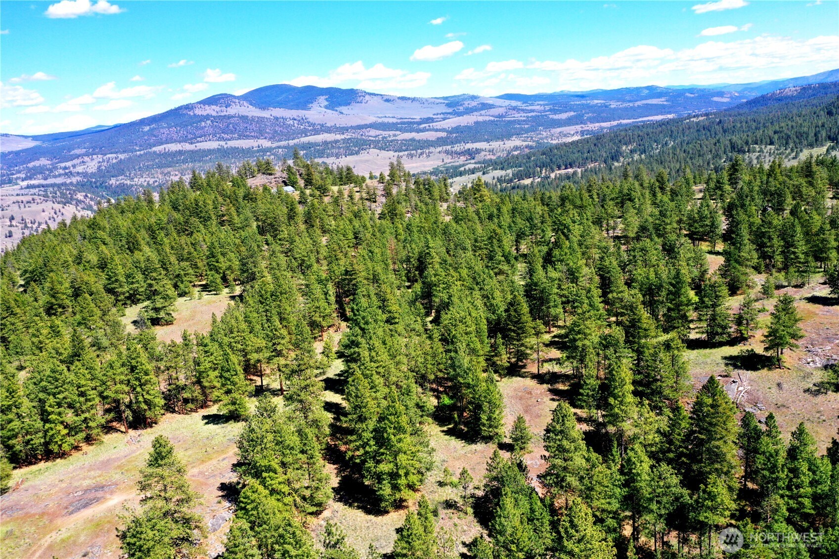 333 Patterson Creek Tonasket WA 98855
