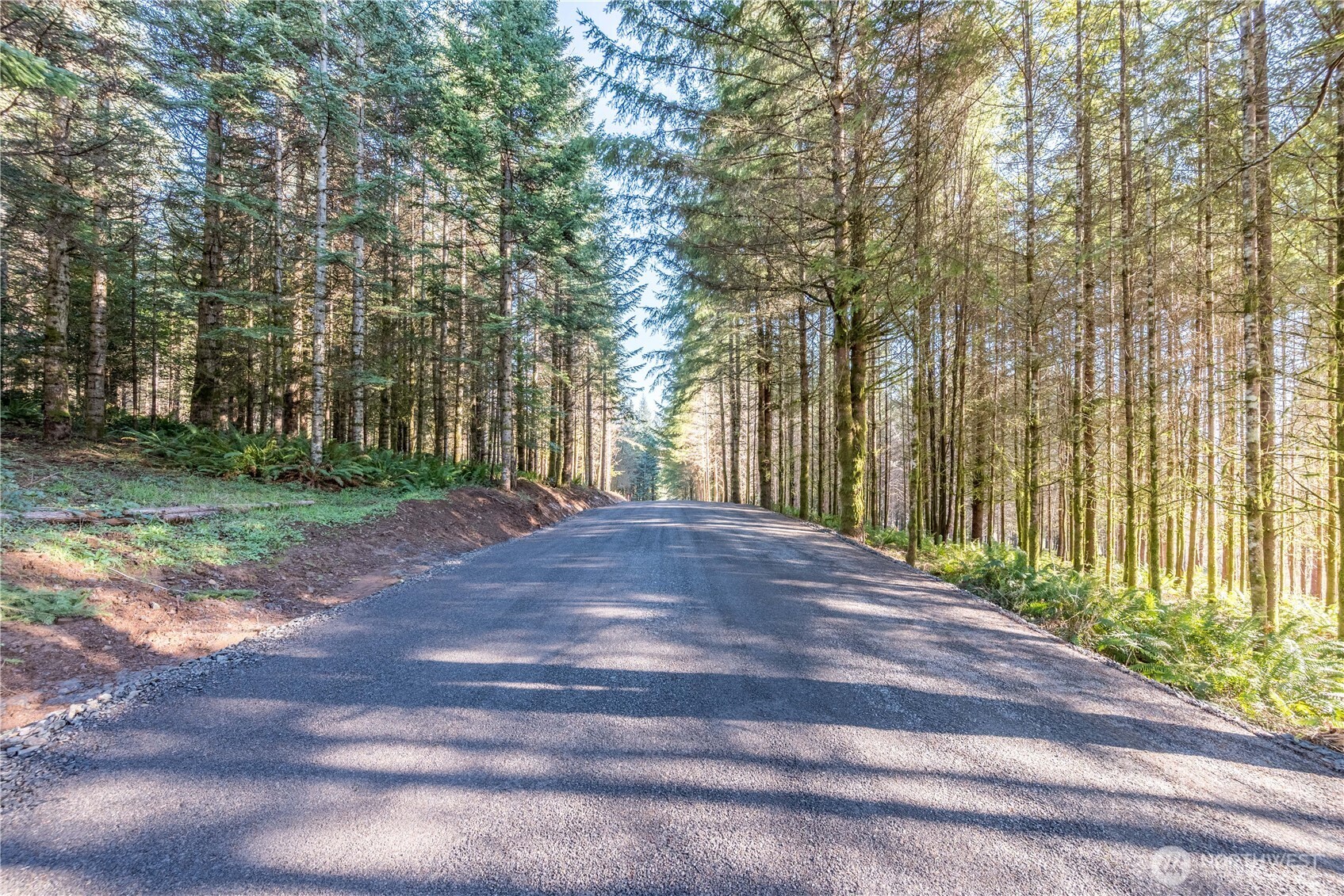 0 Bunker Hill Road Longview WA 98632